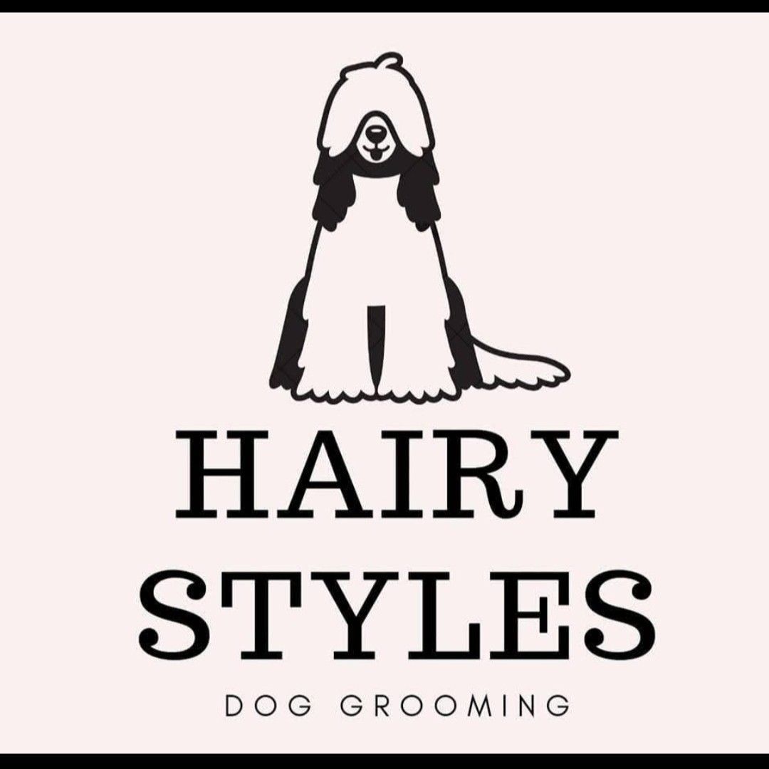 Hairy Styles Dog Grooming, B7, Park, Strangford HouseJubilee Road, Newtownards