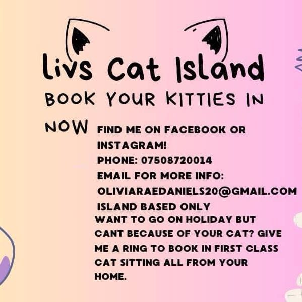 Livs cat island, 35 Castle Street, PO32 6RD, East Cowes