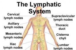 Lymphatic Drainage - Massage portfolio