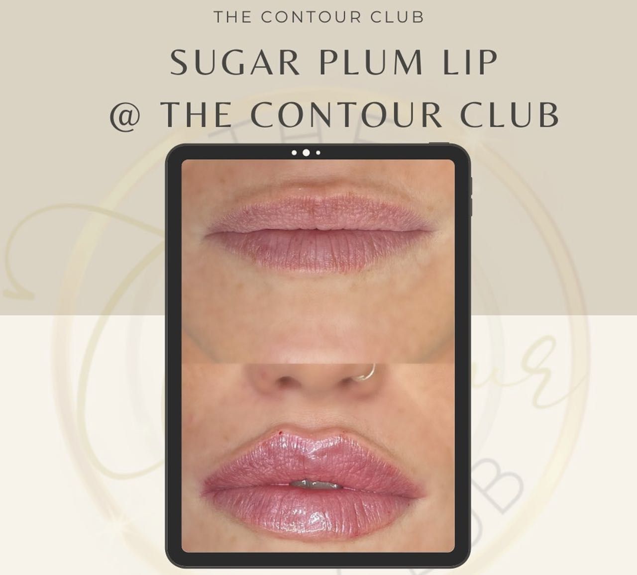 Sugar Plum Lip by The Contour Club portfolio