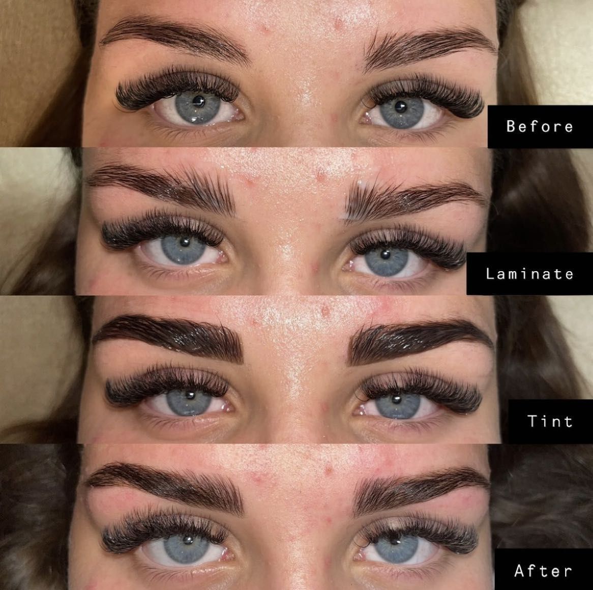 Front only Brow Lamination + Wax, Shape and Tint portfolio