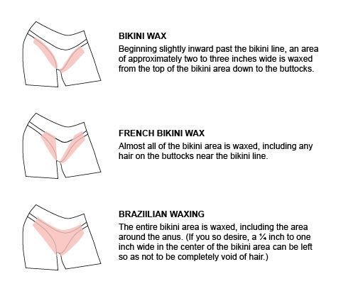 Basic Bikini portfolio