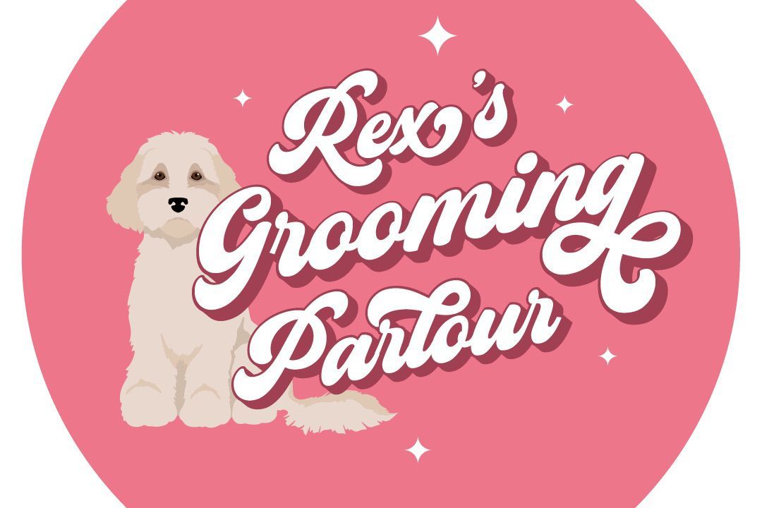 Just dogs 2024 grooming parlour