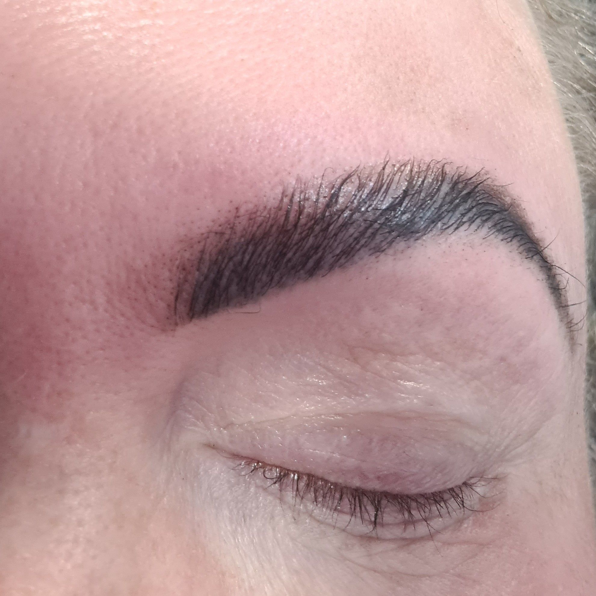 Lamination brows including wax and tint portfolio