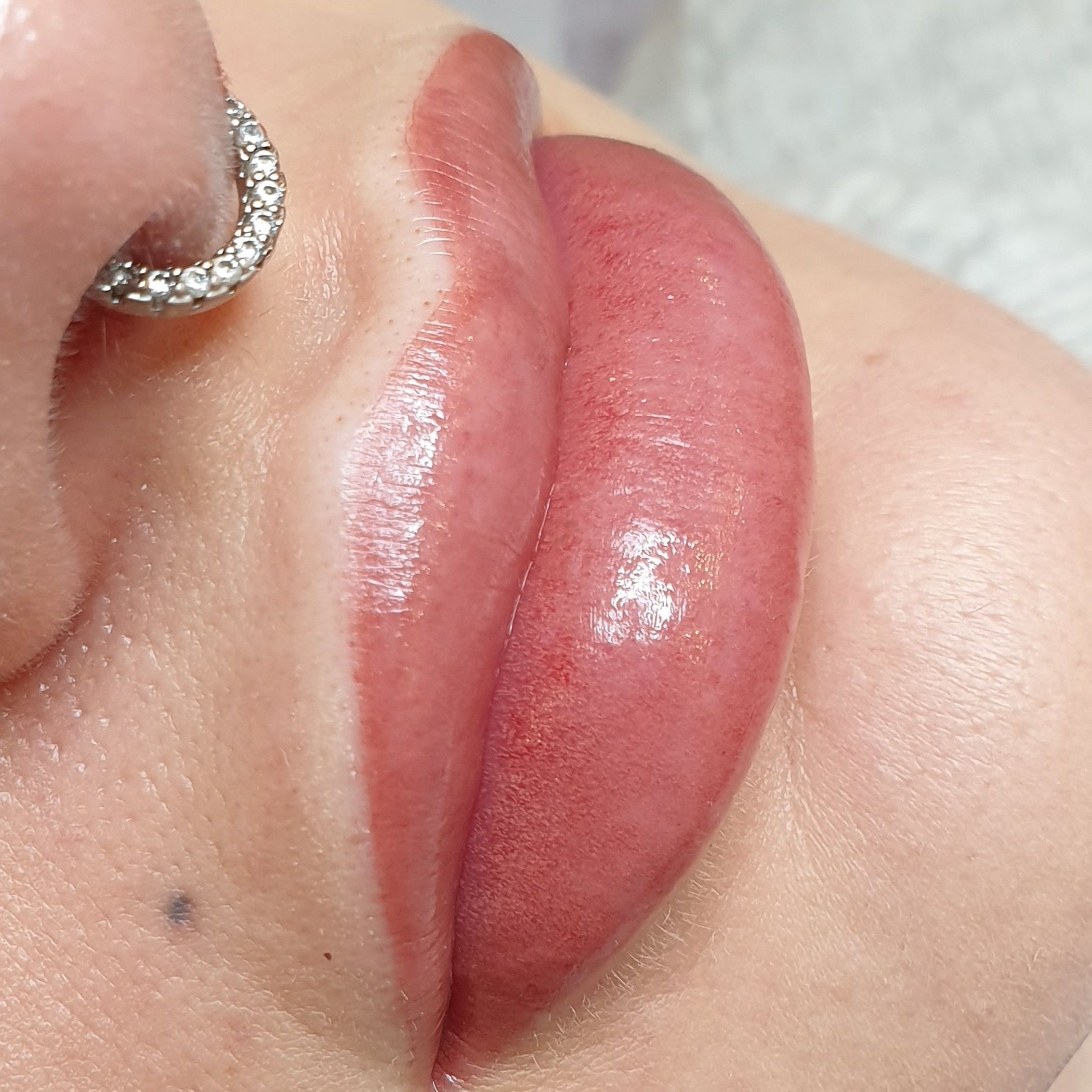 Blush lips portfolio