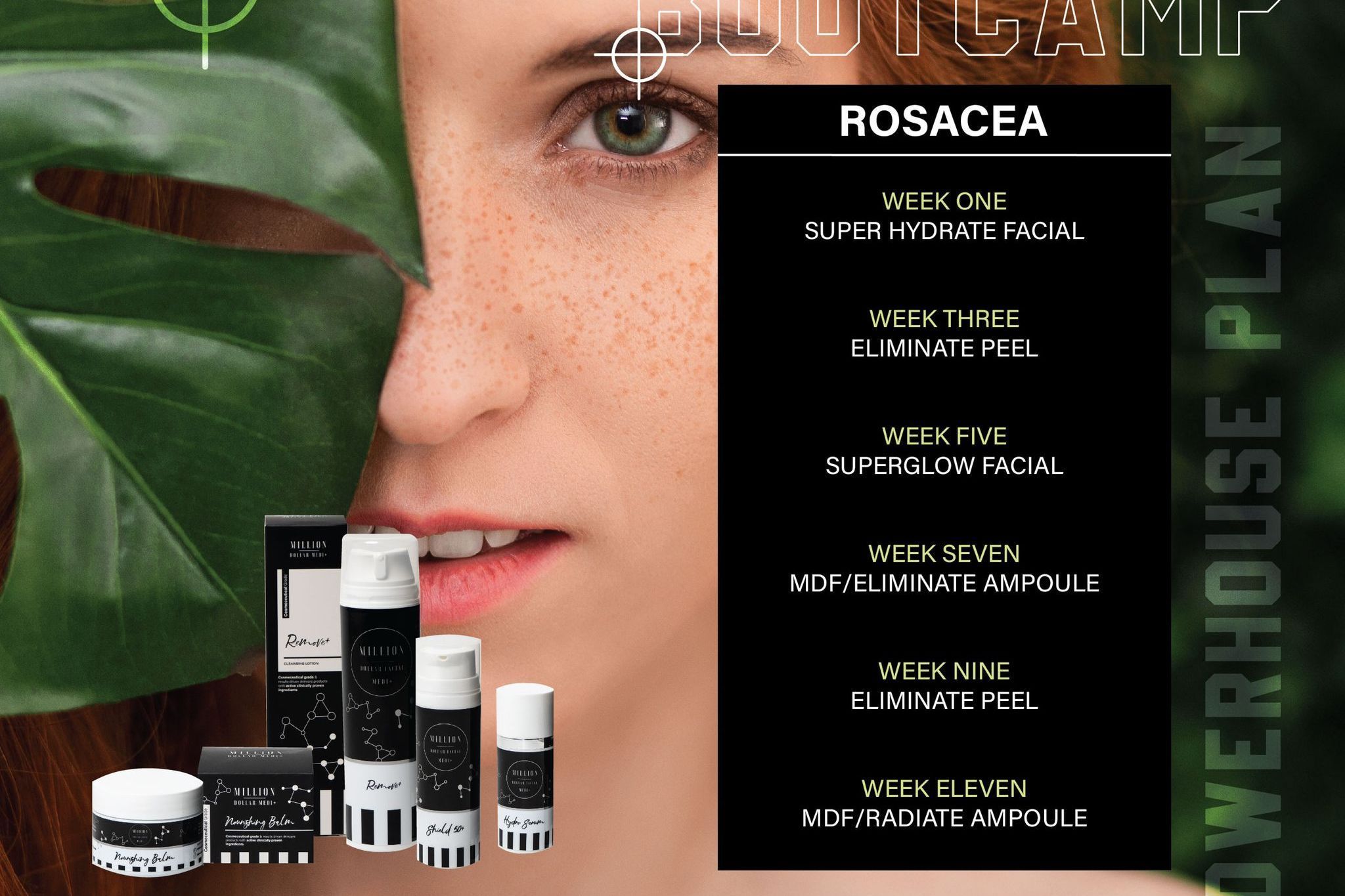 Rosacea portfolio