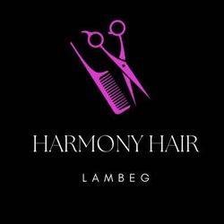 Harmony Hair By Michelle, Harmony Shopping Centre, BT27 4HP, Lisburn