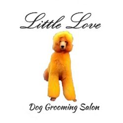 Little Love Dog Grooming, 130 Longstone Street, BT28 1TR, Lisburn