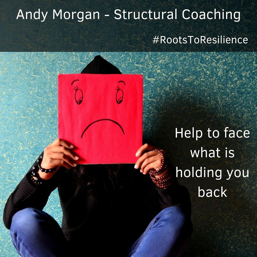 Life Coaching / Structural Coaching portfolio