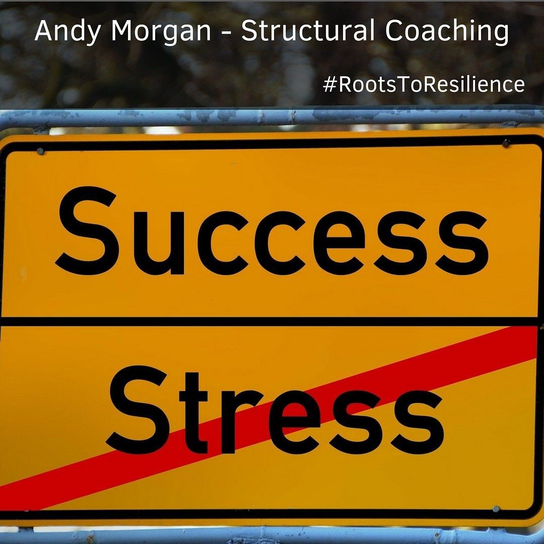 Life Coaching / Structural Coaching portfolio