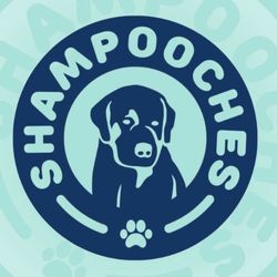ShamPooches Play, Lizards lane, TS21 3ET, Stockton-on-Tees