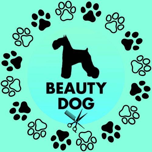 Beauty Dog Normanton, 74 Queen Street Normanton, Queen Street, WF6 2BU, Normanton
