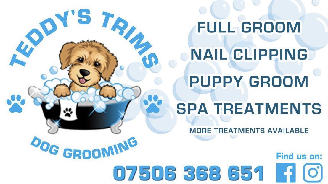 Pet nail clipping hot sale service near me