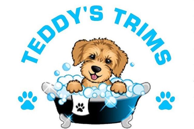 Teddy's Trims Dog Grooming - Nottingham - Book Online - Prices, Reviews,  Photos