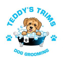 Teddy’s Trims Dog Grooming, 391a Nuthall Road, NG8 5DB, Nottingham