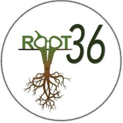 Root36 Salon, 36 Church Street, NP23 6BG, Ebbw Vale