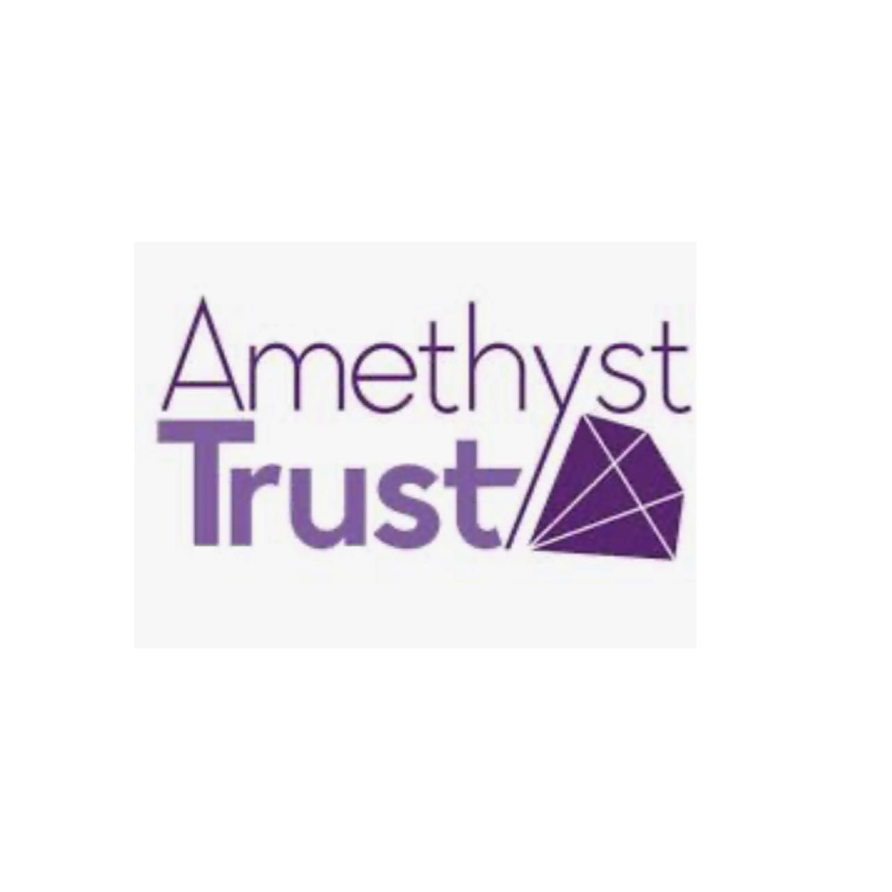 Amethyst trust therapy portfolio