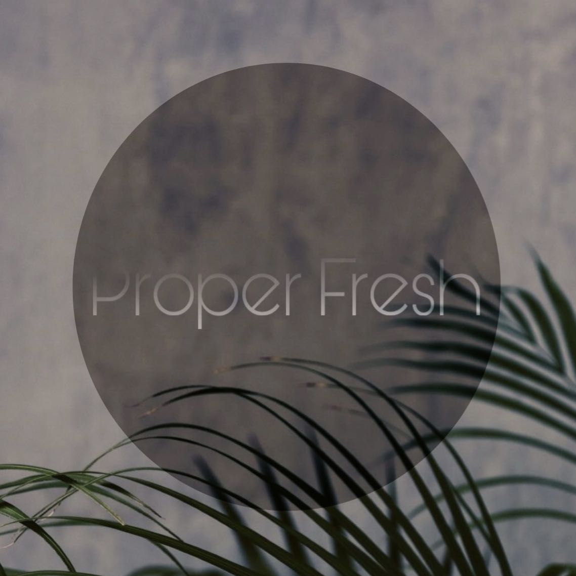 Proper Fresh, Coopers Court, Bond Street, D08, Dublin