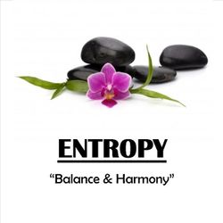 Entropy Treatment Rooms, Childers Road, Maldron Hotel, Limerick
