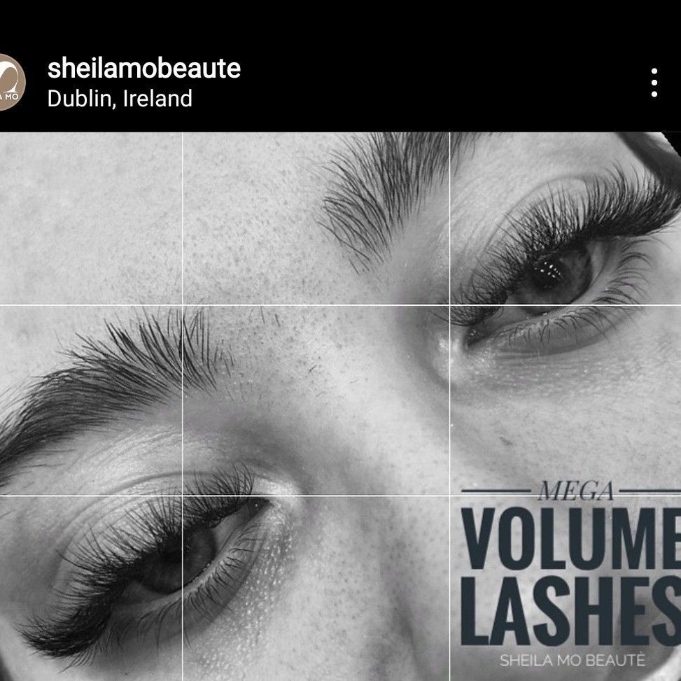 Full Set of Volume lashes portfolio