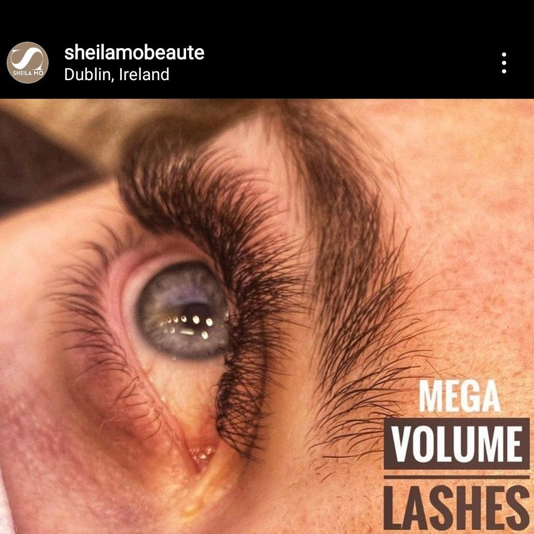 Full Set of Volume lashes portfolio