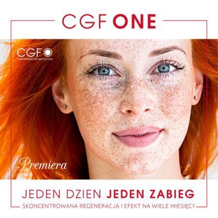 Portfolio usługi CGF One