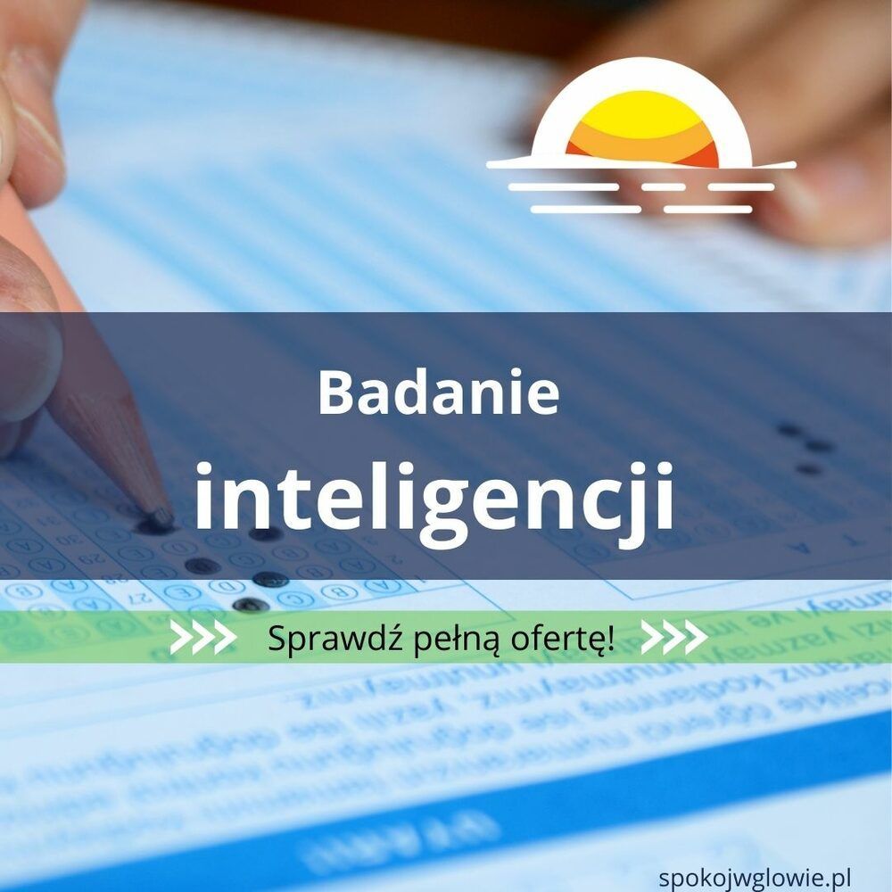 Portfolio usługi Badanie inteligencji (Test Matryc Ravena) | 13 ...