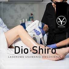 Portfolio usługi Laser diodowy Dio Shiro