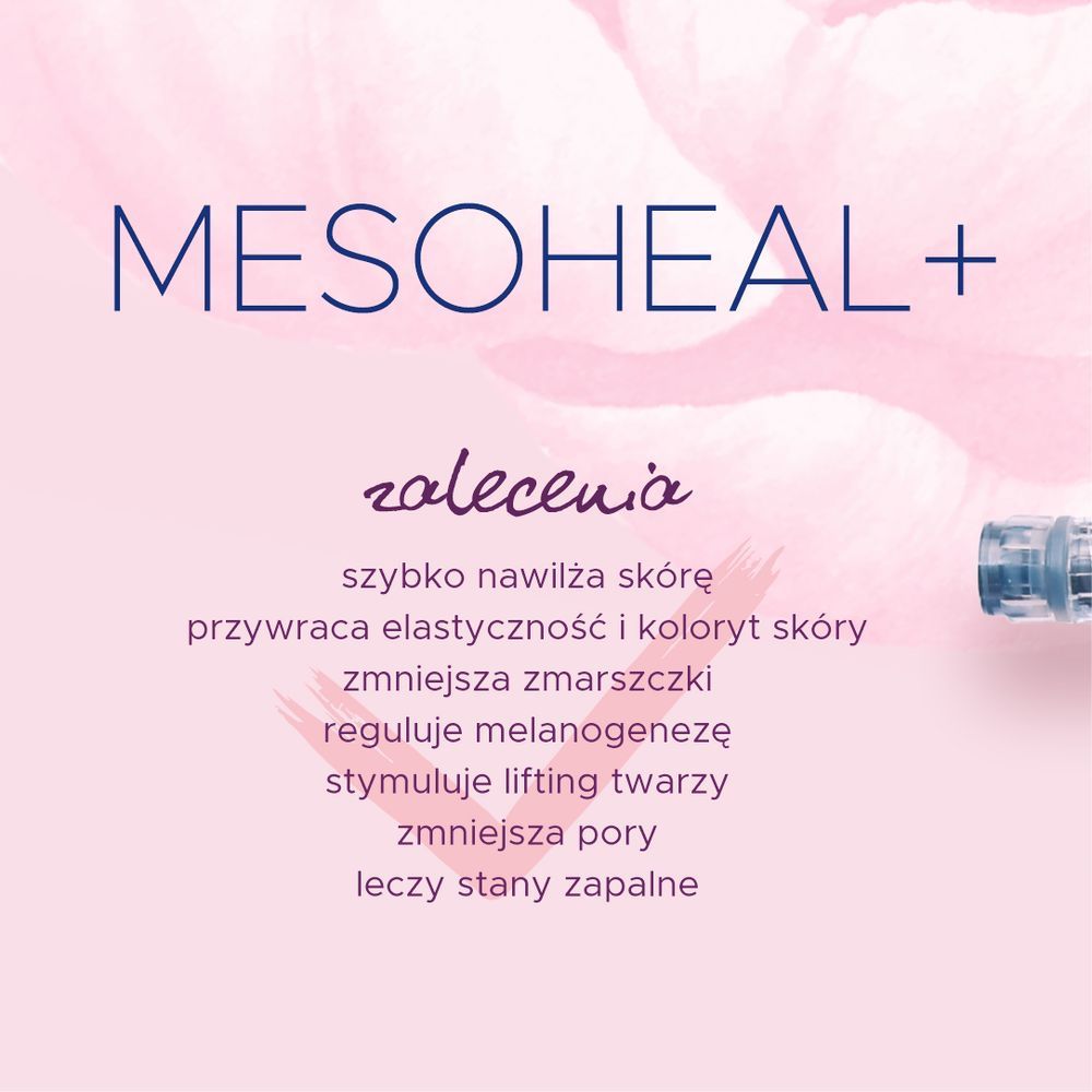 Portfolio usługi MESOHEAL +