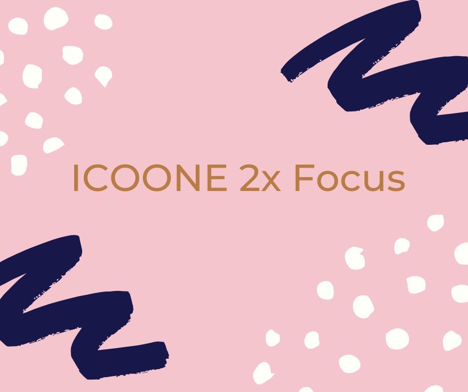 Portfolio usługi Icoone base + 2xFocus