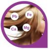 Portfolio usługi Analiza z włosa/Detox i odżywianie