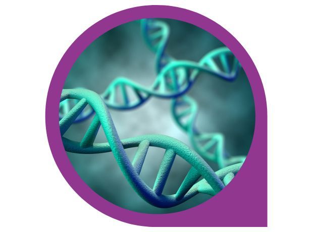 Portfolio usługi PROMOCJA- Badanie genetyczne/Zdrowie/Sport/Ciąża