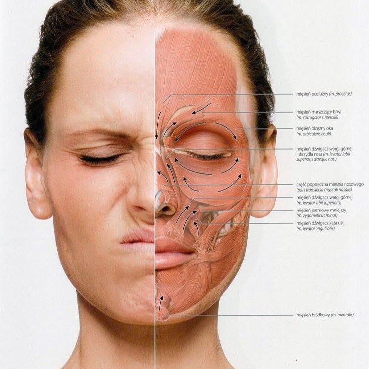 Portfolio usługi Kobido japoński lifting masaż twarzy