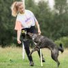 Julia Stankiewicz - Positive Dog - Centrum Szkolenia Psów