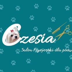 Fryzjer dla psów Czesia, Dziewińska 24, 60-178, Poznań, Grunwald