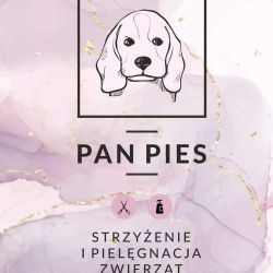 Pan Pies - Strzyżenie I pielęgnacja Zwierząt/ PSI FRYZJER, Wolska 7, 30-663, Kraków, Podgórze