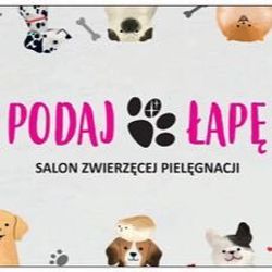 Podaj Łapę- Salon Zwierzęcej Pielęgnacji, aleja Niepodległości 3, 39-300, Mielec