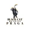 Aurelia - Black Cat Beauty Praga Północ