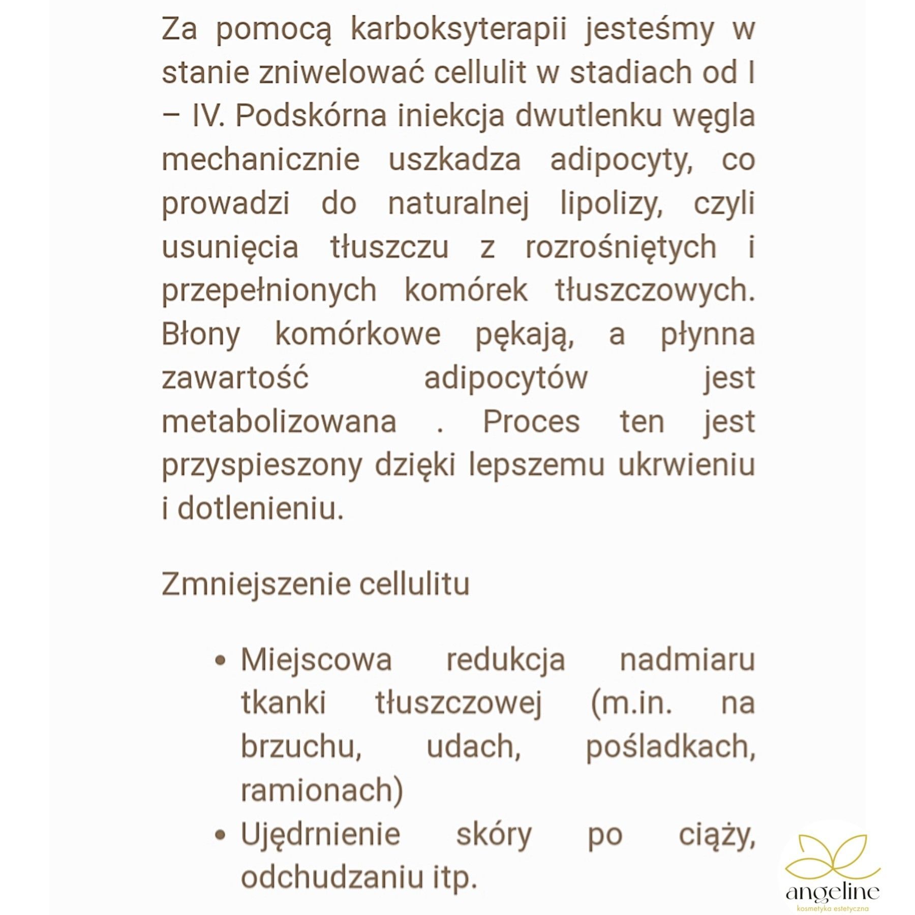 Portfolio usługi Uda - cellulit, tk. tłuszczowa