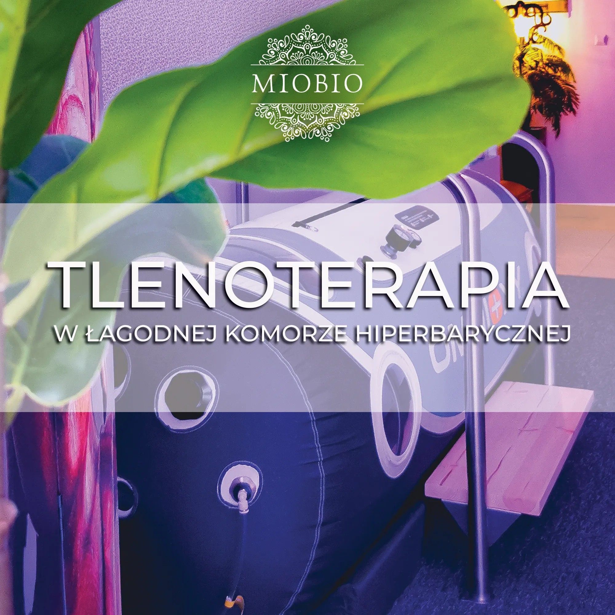 Portfolio usługi Tlenoterapia w łagodnej komorze hiperbarycznej