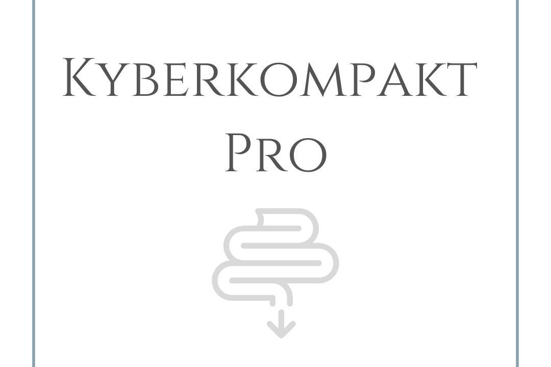 Portfolio usługi Kyberkompakt Pro / 10 dni