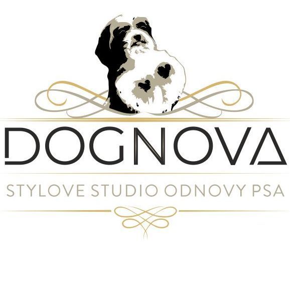 Dognova Stylove Studio Odnovy Psa, Świętego Ducha, 87 / 89, 80-834, Gdańsk