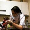 Natalia Perevalova - Dori Salon pielęgnacji psów i kotów