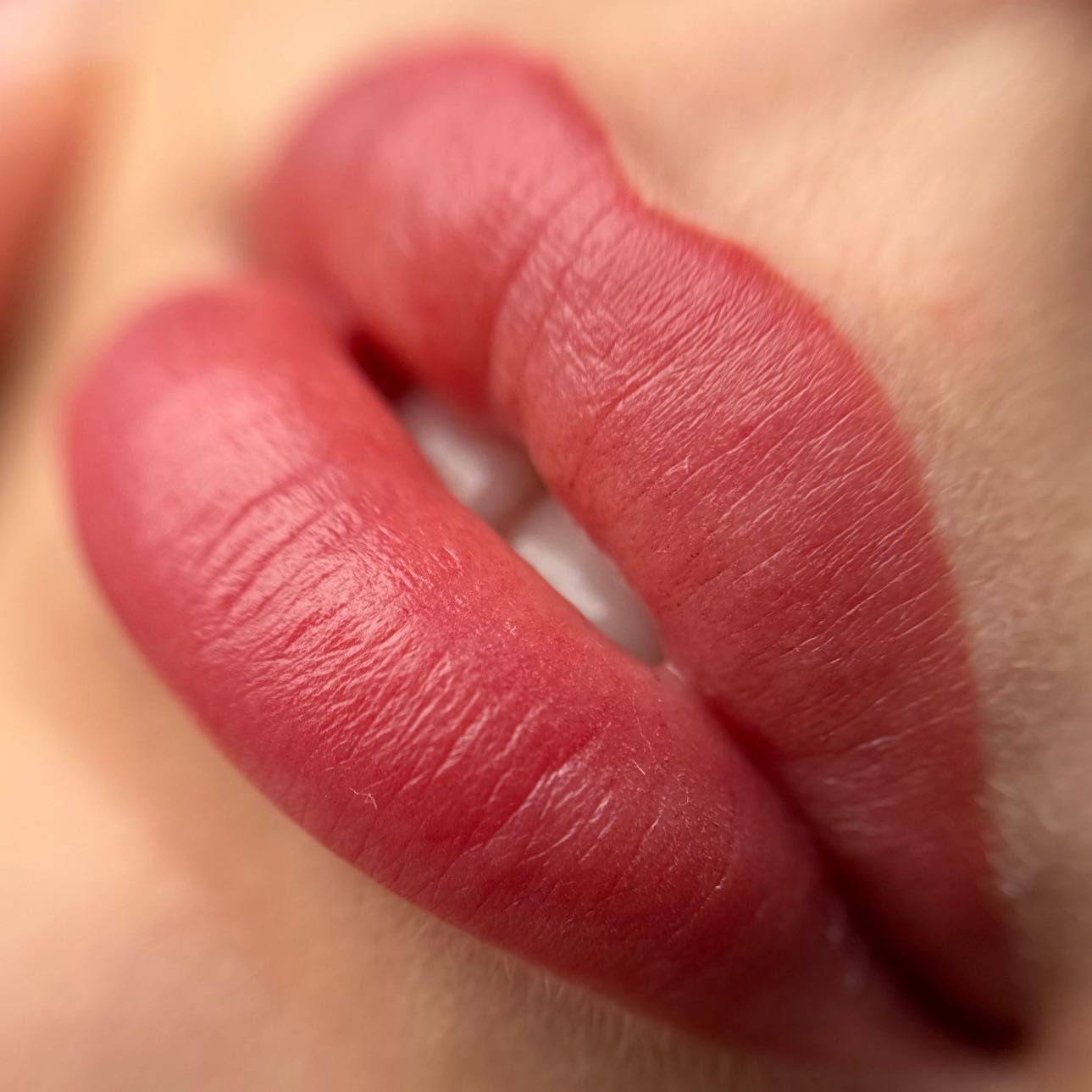 Portfolio usługi Makijaż permanentny ust Natural Lips
