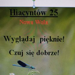 She&He Studio Beauty&Health, Nowa Wola ul Hiacyntów 25, 05-500, Lesznowola