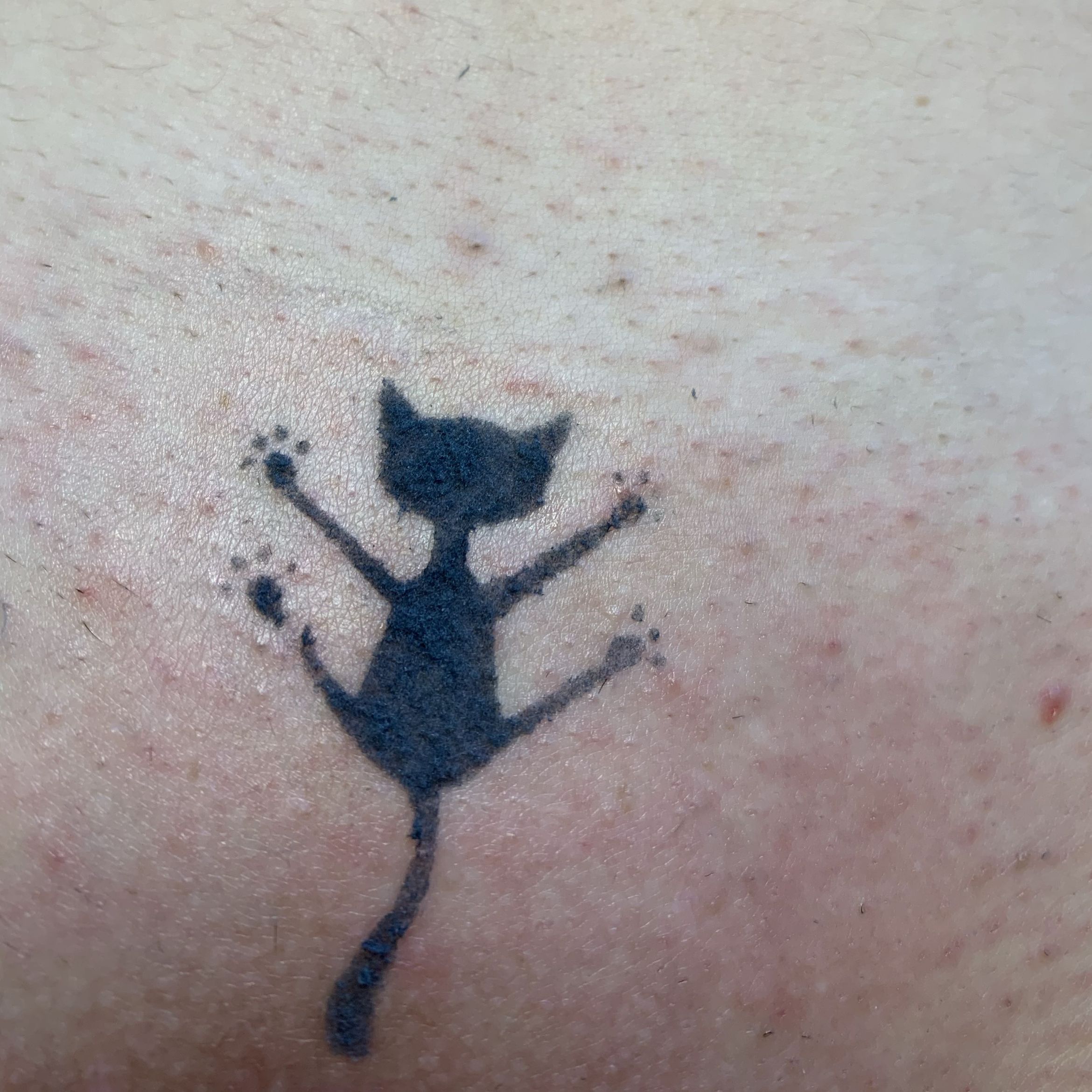 Portfolio usługi BIO tatuaż / біологічний татуаж
