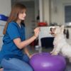 Patrycja Gnatkowicz - Positive Dog - Szkolenie & Myjnia dla psów