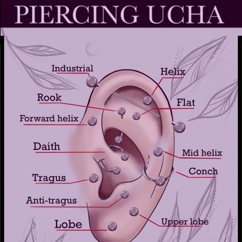 Portfolio usługi Piercing Ucha (Felix, Conch, Industrial Itd)