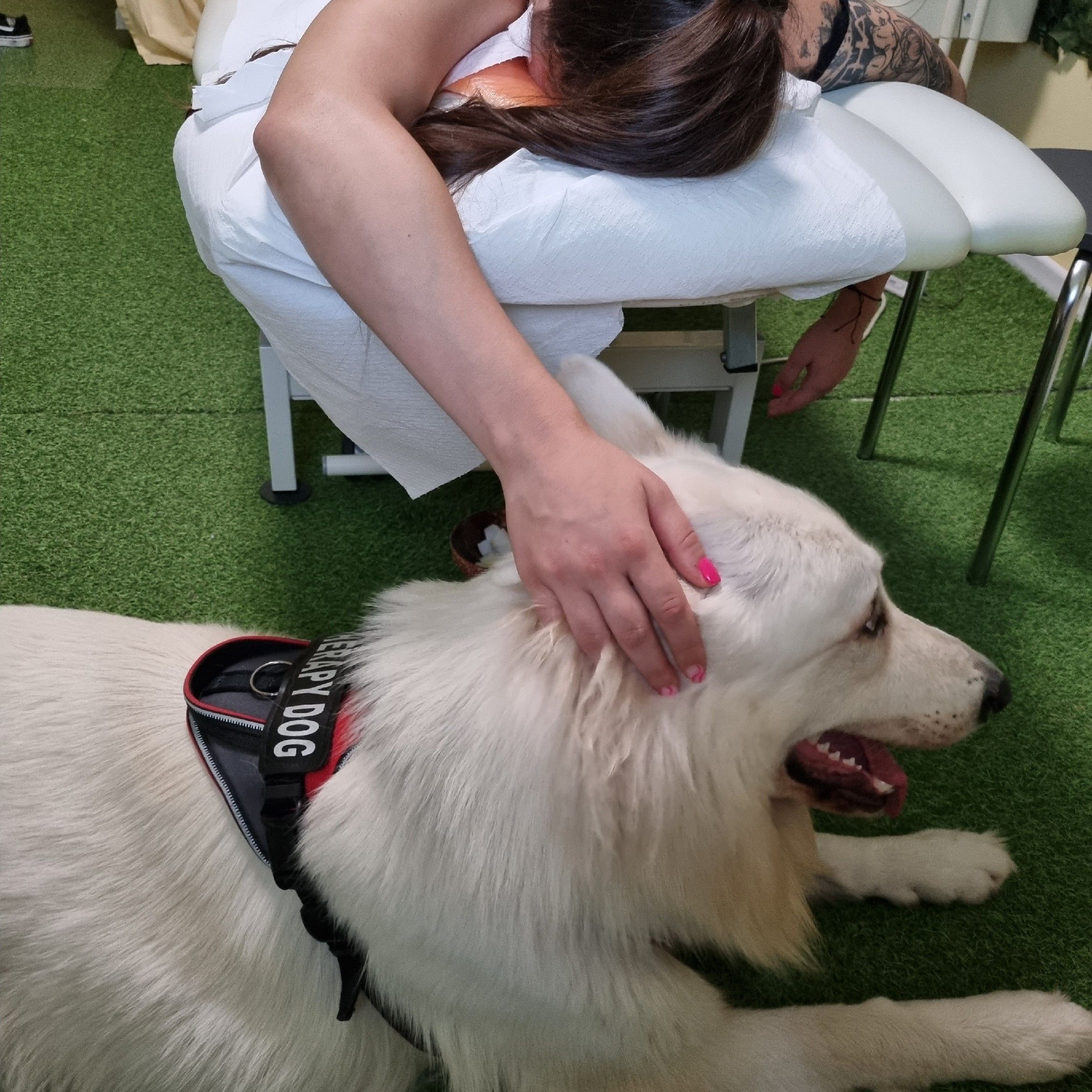Portfolio usługi Dogoterapia (Canine assisted therapy)