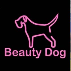 Beauty Dog Salon pielęgnacji psów, Kościelna 2, 35-505, Rzeszów